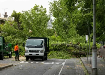 Clean up begins after Victoria smashed by freak storm