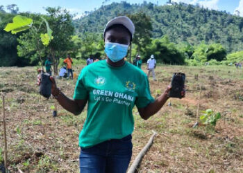 Parks and gardens officer raises concern