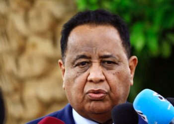 Former Sudan ruling party head freed from prison – family source