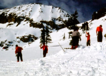 Remains in Colorado Are Believed to Be West German Hiker Missing Since 1983