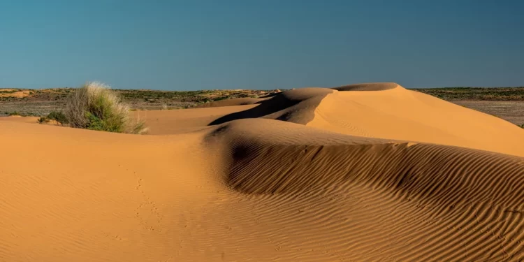 Floods leave family stranded in SA desert