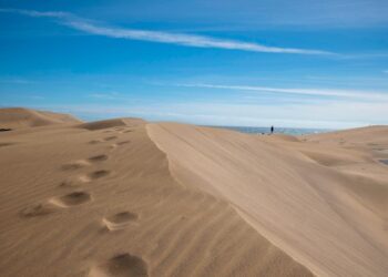 Maspalomas: Tourists having sex on the beach is destroying it