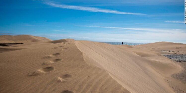 Maspalomas: Tourists having sex on the beach is destroying it Maspalomas: Tourists having sex on the beach is destroying it