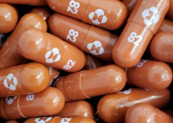 Latest news updates: Merck’s antiviral Covid pill cleared for use in EU by bloc’s medicines regulator