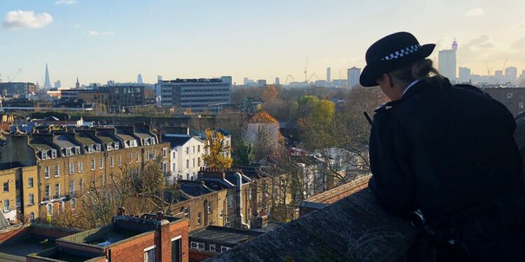 Woman, 78, hits head on ground after tussle with two men who tried to steal her handbag in broad daylight Woman, 78, hits head on ground after tussle with two men who tried to steal her handbag in broad daylight