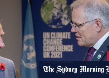 Cloe Smith found alive and well, Victoria COVID cases grow, NSW COVID cases grow, Verry Elleegant wins 2021 Melbourne Cup, COP26 Glasgow summit continues, Australia vaccination rate nears 80 per cent, NSW restrictions eased, RBA holds interest rates at 0.1 per cent