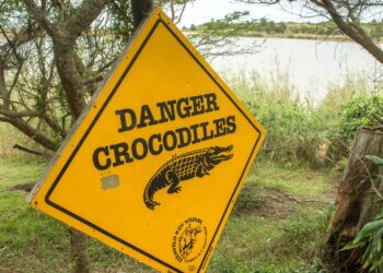 South Africa: Suspected Poacher Jumped Into Crocodile Lake
