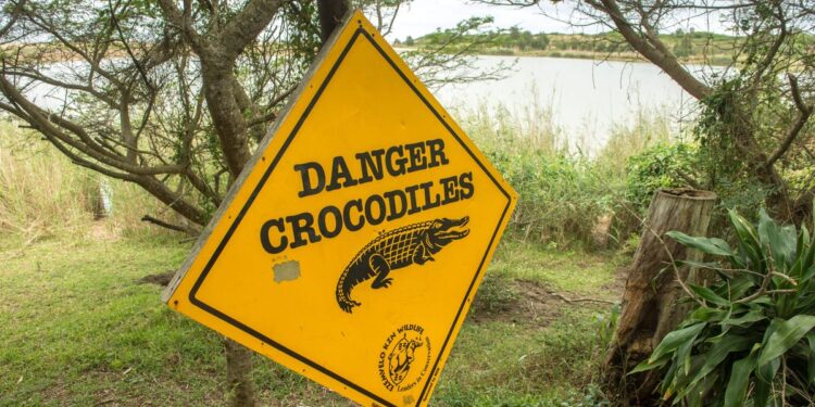 South Africa: Suspected Poacher Jumped Into Crocodile Lake