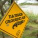 South Africa: Suspected Poacher Jumped Into Crocodile Lake