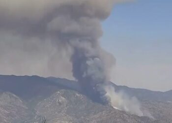 Cleaning products, gas stoves are poisoning our indoor air quality