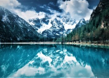 Immigrate to Canada without a job offer: Alberta PNP