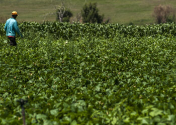 What does the EU Green Deal mean for South Africa?