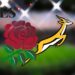 England vs South Africa LIVE! Autumn Nations Series