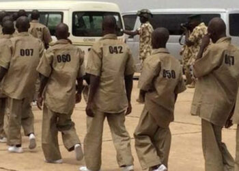 Number of surrendered insurgents now 17,000 – Theatre Commander | The Guardian Nigeria News