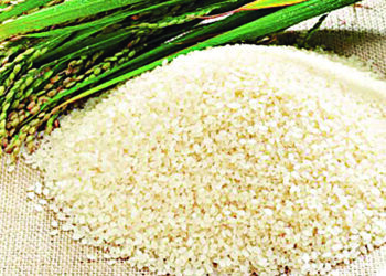 Yuletide beckons price of rice still high — Features — The Guardian Nigeria News – Nigeria and World News