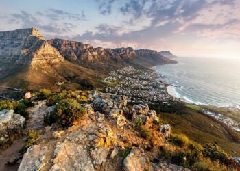 Etihad postpones Cape Town flight launch to December