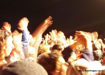 November 19th – 25th – South London News