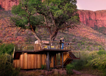 The Travel Insurance You Need to Protect Your Safari Vacation – Robb Report