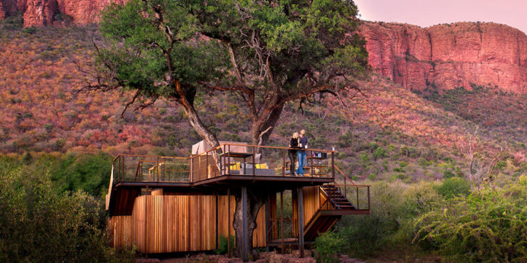 The Travel Insurance You Need to Protect Your Safari Vacation – Robb Report