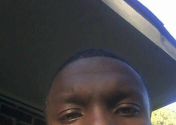 How Police Justify Killings at Traffic Stops: ‘The Car Was a Weapon’