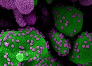 Philippines ‘intently’ monitoring new COVID-19 variant detected in South Africa