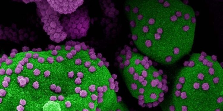 Philippines ‘intently’ monitoring new COVID-19 variant detected in South Africa