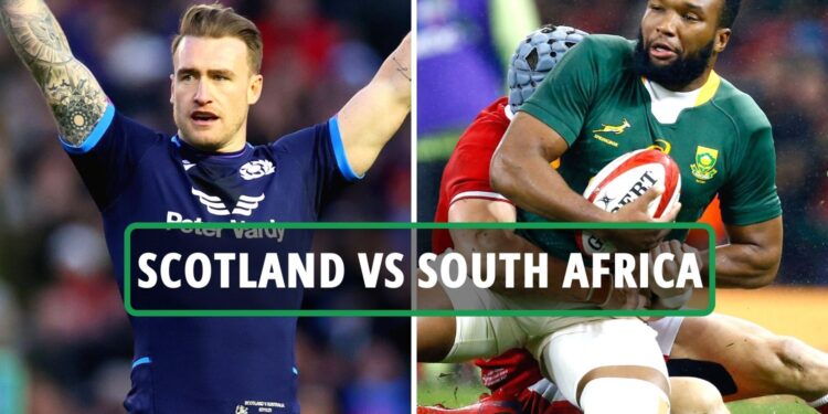 Scotland Vs South Africa Rugby LIVE: Latest Updates From Autumn International