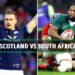 Scotland Vs South Africa Rugby LIVE: Latest Updates From Autumn International Scotland Vs South Africa Rugby LIVE: Latest Updates From Autumn International