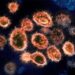 Scientists in South Africa detect new virus variant – Medford News, Weather, Sports, Breaking News