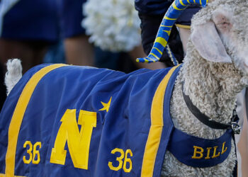 After a Bungled Theft of Navy’s Mascot Draws Fire, Goatnappers Strike Again