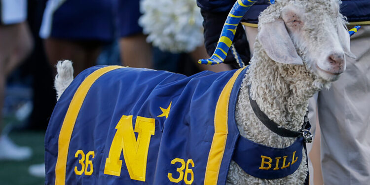 After a Bungled Theft of Navy’s Mascot Draws Fire, Goatnappers Strike Again After a Bungled Theft of Navy’s Mascot Draws Fire, Goatnappers Strike Again