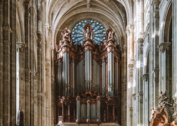 Finding the Musical Spirit of Notre Dame