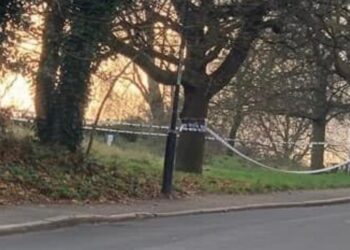 Boy, 13, arrested for rape after dog walker ‘saved woman from attack by 2 males in park’