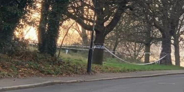 Boy, 13, arrested for rape after dog walker ‘saved woman from attack by 2 males in park’