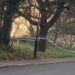 Boy, 13, arrested for rape after dog walker ‘saved woman from attack by 2 males in park’ Boy, 13, arrested for rape after dog walker ‘saved woman from attack by 2 males in park’