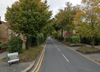 Young woman fighting for life after car crashes into tree on Christmas Day