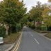 Young woman fighting for life after car crashes into tree on Christmas Day Young woman fighting for life after car crashes into tree on Christmas Day