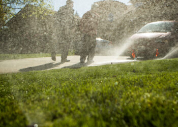 Amid Drought, Here’s Where California Really Uses Its Water