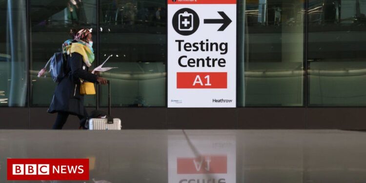 Covid: Travel changes too late to halt potential new wave – scientist – BBC News