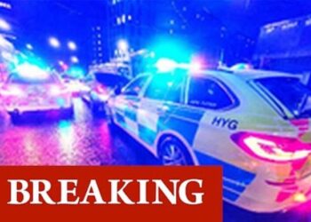 London news: Family tragedy after boy 14 killed by van at bus stop | UK | News