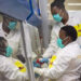 Only 6% of South Africa’s intensive care beds occupied by Covid-19 patients – WHO official Only 6% of South Africa’s intensive care beds occupied by Covid-19 patients – WHO official