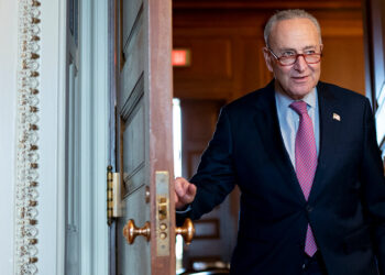 Schumer Vows to Bring Spending Plan Back to Senate