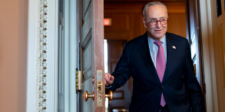 Schumer Vows to Bring Spending Plan Back to Senate