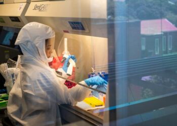 South Africa has passed its Omicron outbreak peak, says top scientific researcher