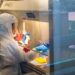 South Africa has passed its Omicron outbreak peak, says top scientific researcher