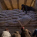 As Humanitarian Disaster Looms, U.S. Opens Door for More Afghanistan Aid