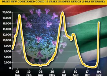 Hospitalisations in Omicron-hit South African province are RISING faster than in any previous wave