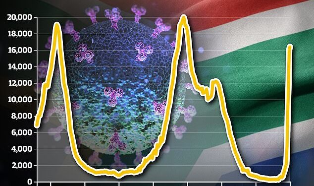 Hospitalisations in Omicron-hit South African province are RISING faster than in any previous wave Hospitalisations in Omicron-hit South African province are RISING faster than in any previous wave
