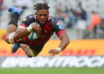 Do South Africa’s rugby teams have what it takes?