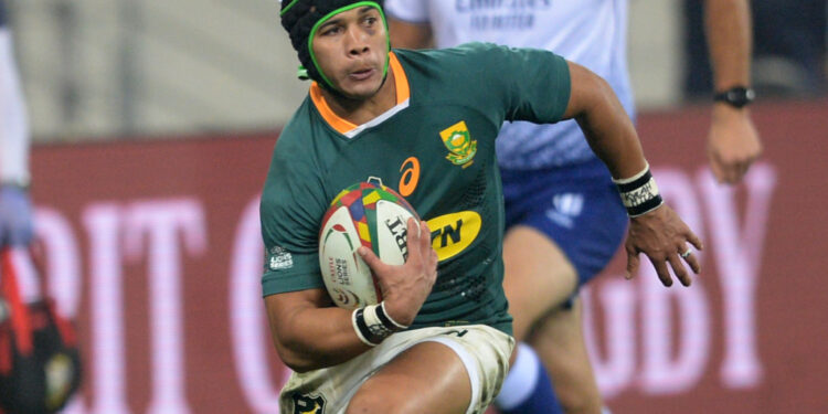 South Africa flyer Cheslin Kolbe starts for Toulon South Africa flyer Cheslin Kolbe starts for Toulon